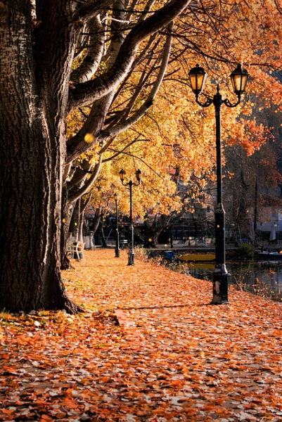 Parte von Brigitte Wadsack